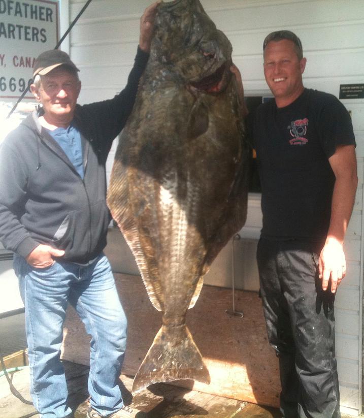 https://www.bearcovecottages.ca/wp-content/uploads/2014/09/fishing-halibut-01.jpg